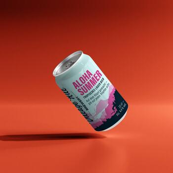 Verpackungsdesign Village Hill Brewery